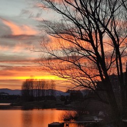 Композиция и кадър с Уъркшоп по фотография